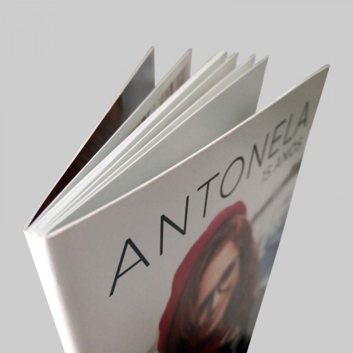 Álbum Revista